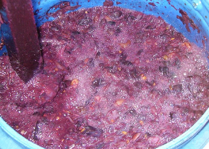 Виноградная брага из жмыха или сока для самогона