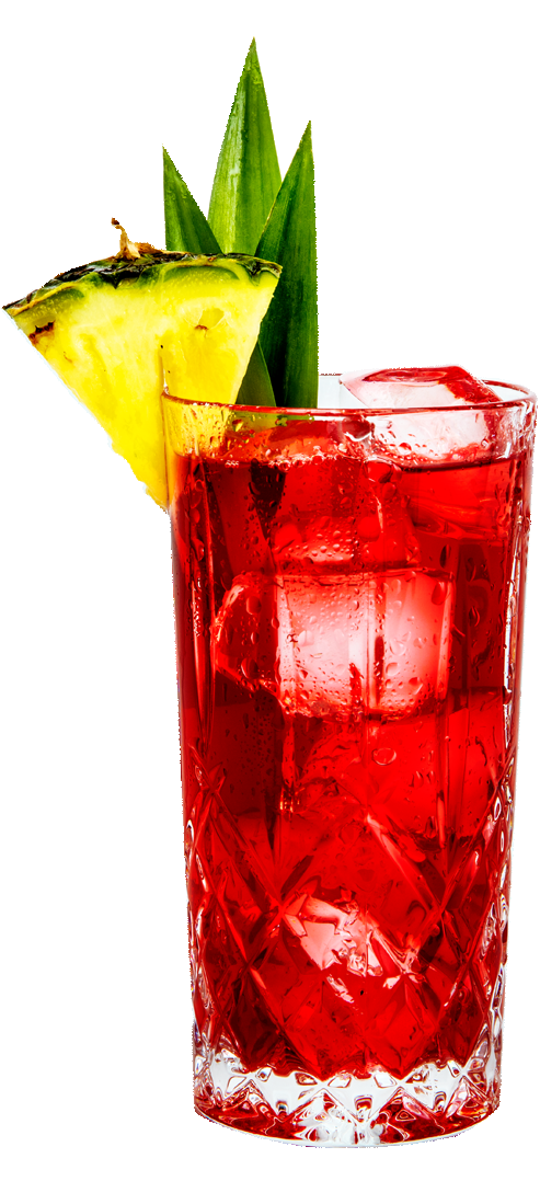 CRANBERRY PINEAPPLE GIN JUICE