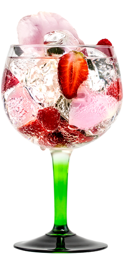 Rose  Berries Tanqueray  Fever-Tree